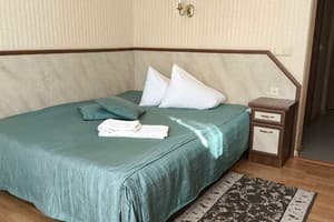 Рекреационный комплекс Отель Гермес Трускавец. Стандарт двухместный  4