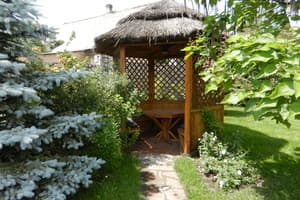 Под Дубом 28