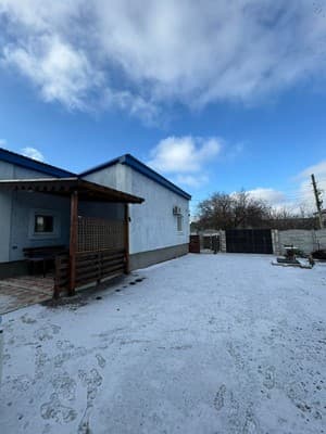 Подорожник 10