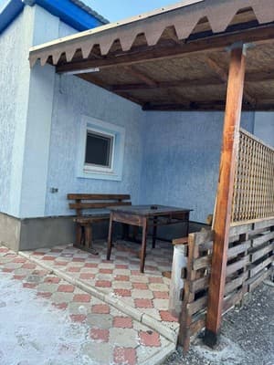 Подорожник 9