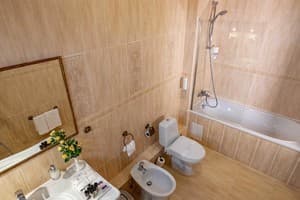 Отель Премьер отель Палаццо. Делюкс двухместный  7