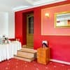 Raziotel Кривой Рог 15