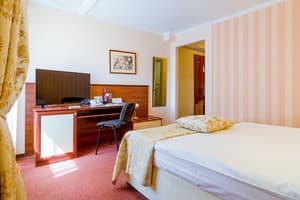 Отель Raziotel Кривой Рог. Стандарт двухместный Double 2