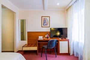 Отель Raziotel Кривой Рог. Стандарт одноместный Single 3