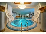 Royal Hotels and Spa Resorts(Женева) 8