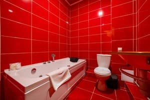 Отель Royal. Стандарт трехместный  8