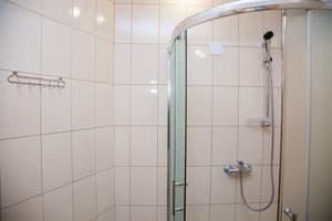 Сердце Льва (Lion's Heart) 21