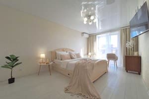 Квартира Сердце Полтавы,Alex Apartments. Круглосуточно (бесконтактное заселение 24/7). Люкс 4-местный Сердце Полтавы 1