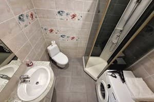 Квартира Сердце Полтавы,Alex Apartments. Круглосуточно (бесконтактное заселение 24/7). Люкс 4-местный Сердце Полтавы 35