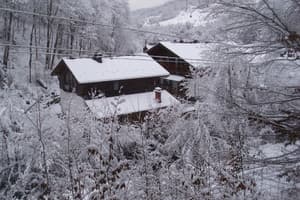 Шале Ведмеже 5