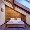 Отель Шпацер. Стандарт двухместный Suite 3