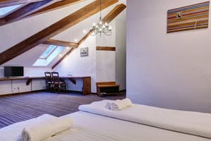 Отель Шпацер. Стандарт двухместный Suite 4