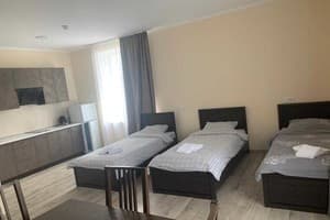 Отель Сити Бизнес Apart. Апартаменты трехместный с кухней 1