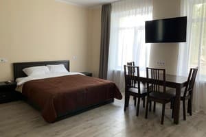 Отель Сити Бизнес Apart. Стандарт одноместный (без кухни) 1