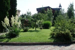 Солнечная 12