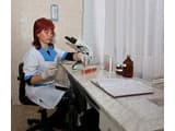 Сонячне Закарпаття 5