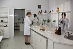 Солнечное Закарпатье 8