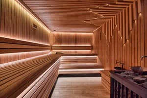 Санаторий Solva Resort Medical & SPA. Будиночок з сауною 19