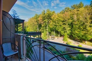 Санаторий Solva Resort Medical & SPA. Стандарт двухместный  9