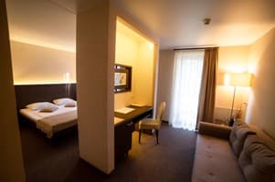 Срібні лелеки 3