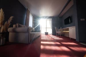 Срібні лелеки 4