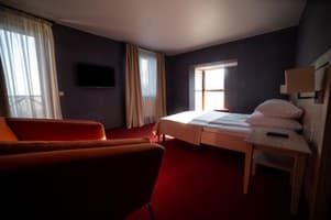 Срібні лелеки 6