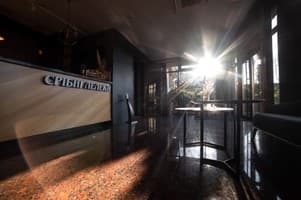 Срібні лелеки 8