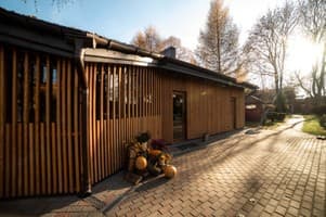 Срібні лелеки 11