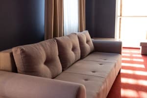 Срібні лелеки 14