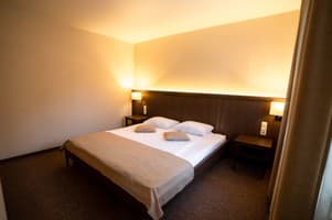 Срібні лелеки 15