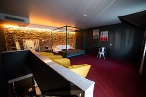 Срібні лелеки 23