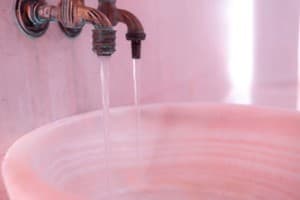 Срібні лелеки 24