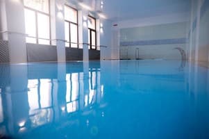 Срібні лелеки 1