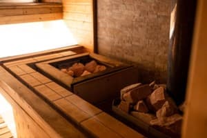 Срібні лелеки 26