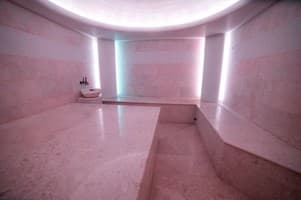 Срібні лелеки 27