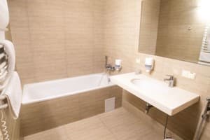 Срібні лелеки 28