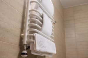 Срібні лелеки 29