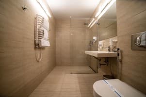 Срібні лелеки 30