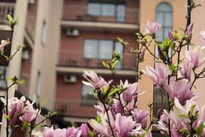 Срібний Водограй 12