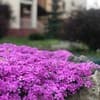 Срібний Водограй 22-23/49
