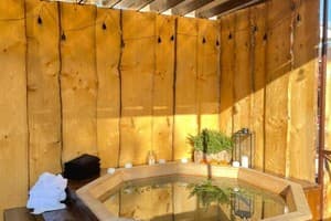 Срібний Водограй 26