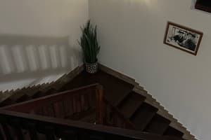 У Доминикана 8