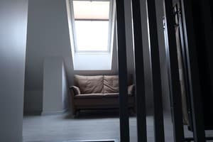 У Доминикана 12