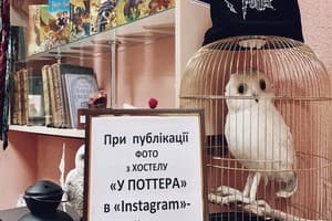 У Поттера 12