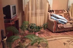 У Зубрицких 4