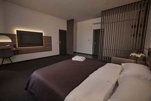 Отель UNGVARSKIY Thermal Hotel. Стандарт двухместный  4