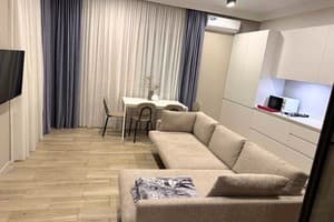 Квартира VIP на ул. Первая Литейная 37. Апартаменты трехместный VIP на Первая Литейная 37 9