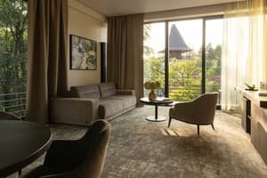 Санаторій Verkhovyna Resort Medical & Wellness 5*. Люкс двомісний Верховина Делюкс 5
