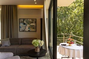 Санаторій Verkhovyna Resort Medical & Wellness 5*. Люкс двомісний Верховина Делюкс 9