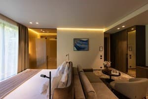 Санаторій Verkhovyna Resort Medical & Wellness 5*. Напівлюкс двомісний 2